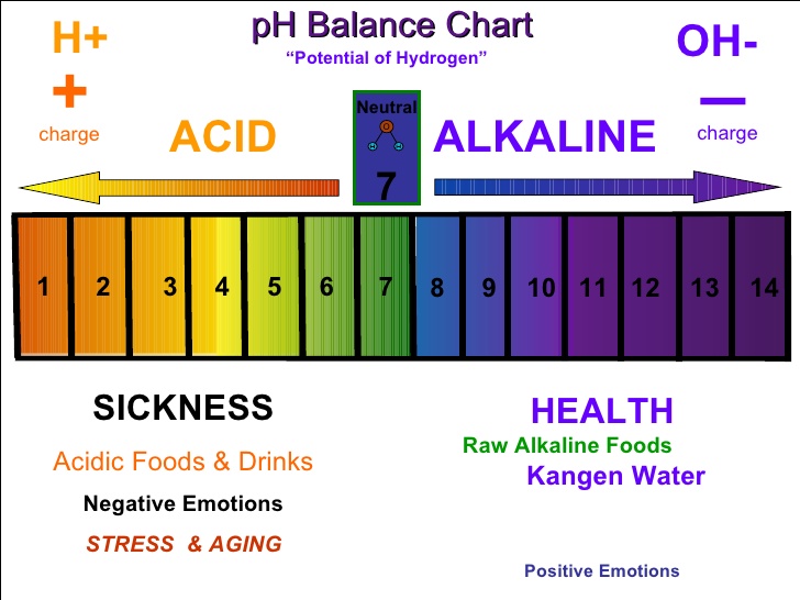 Body Ph Balance Chart