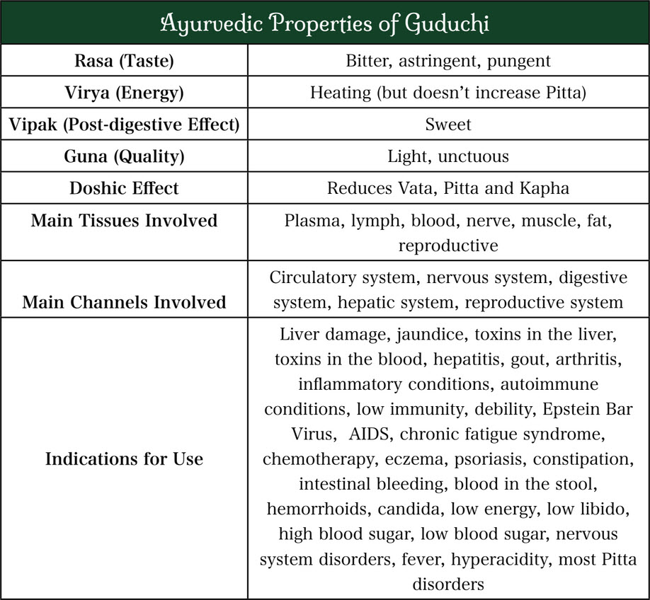 Medicinal properties of Giloy Vati