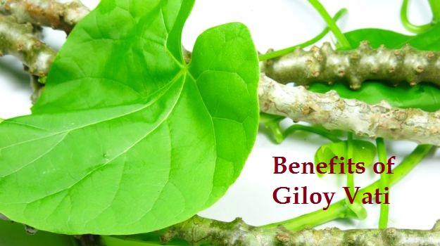 Benefits Of Giloy Vati